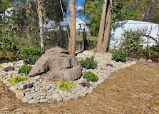 Landscaped garden bed with large boulders, mulch, and green plants beneath tall trees