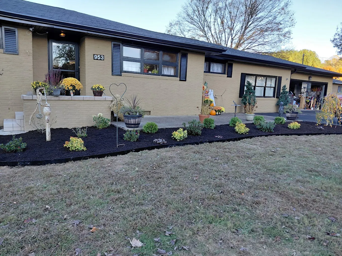 Mid-century ranch home at 953 with black mulch landscaping and yellow mums