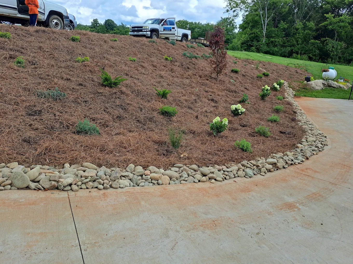 Landscaping project showing mulched slope with planted shrubs, river rock edging, and concrete driveway