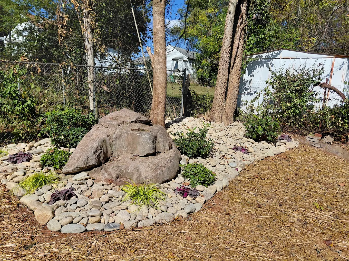 Landscaped garden bed with large rock, river stones, ornamental grasses, and purple foliage plants bordered by trees