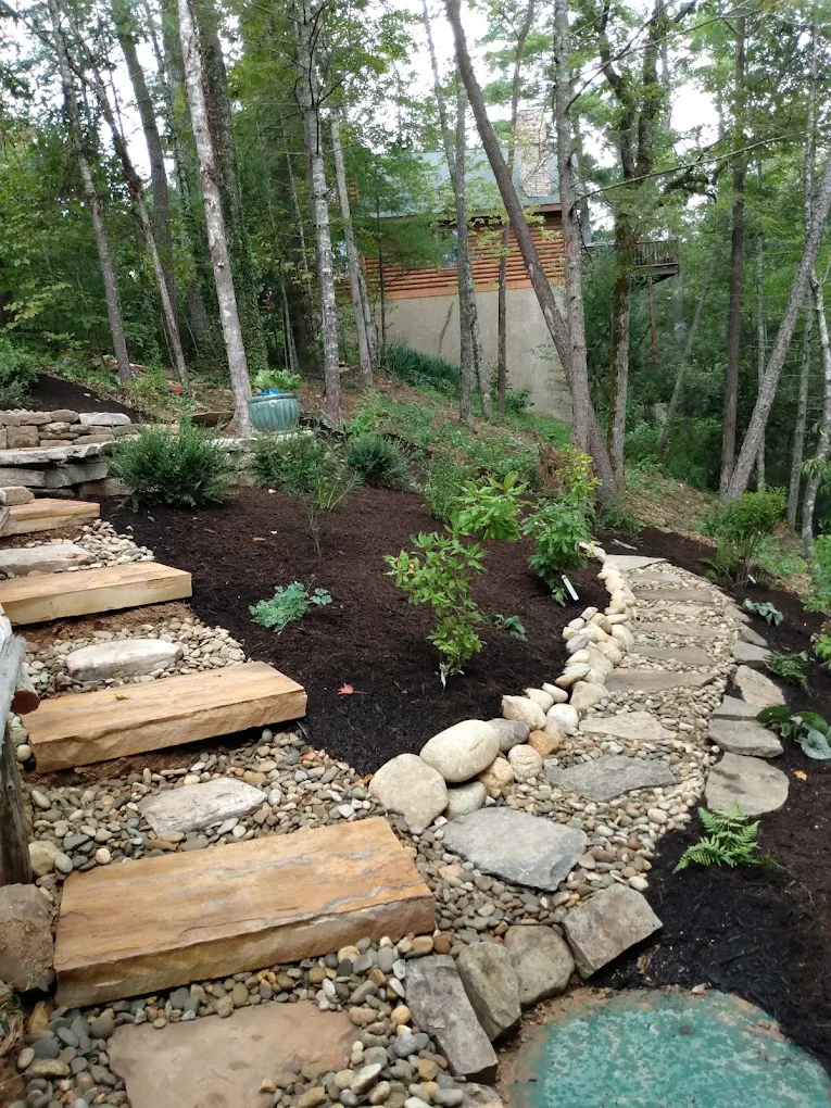 Wooded backyard with stone pathway, mulch garden beds, and log cabin among tall trees