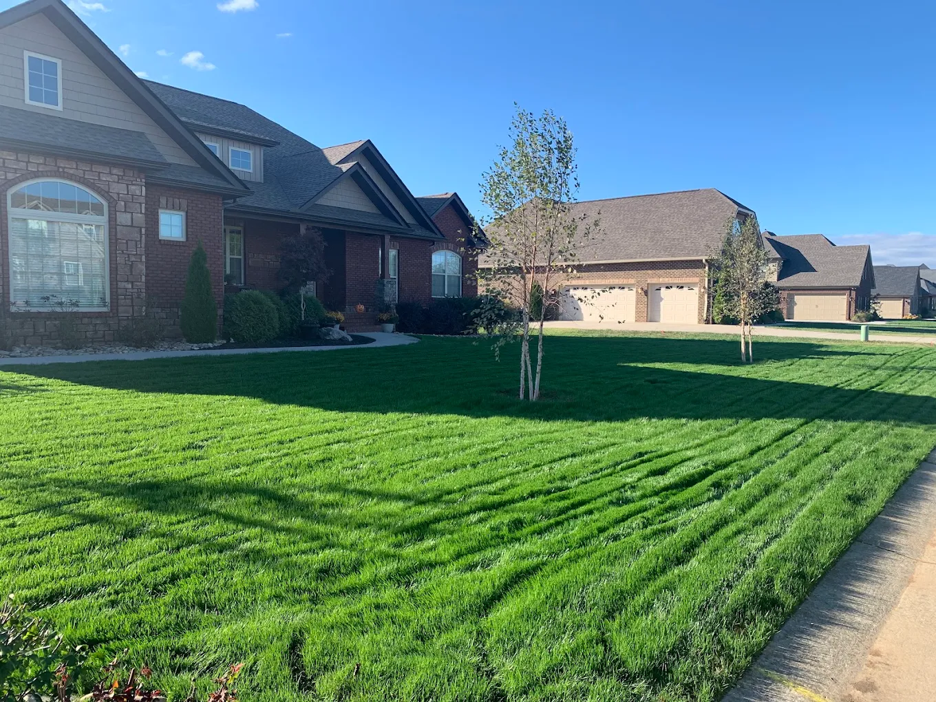 Suburban brick homes with manicured lawns and young trees on a clear day