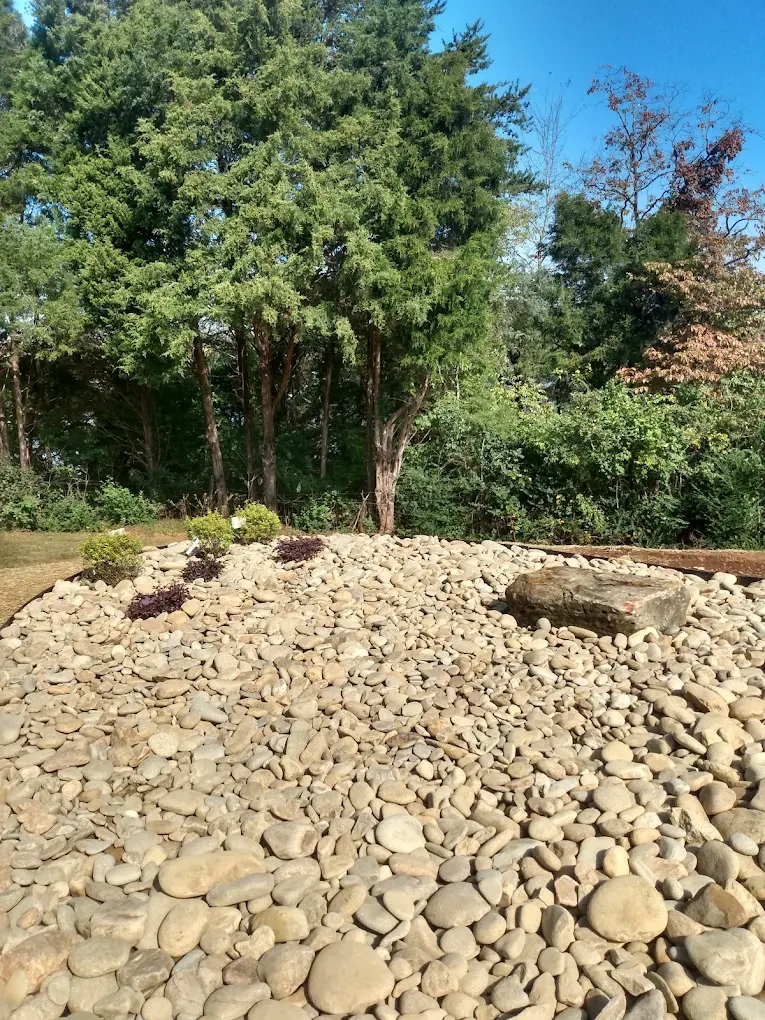 Stone pathway with river rocks in landscaped garden surrounded by tall trees